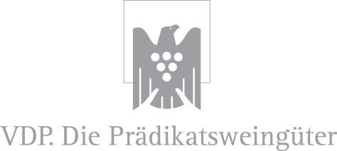 VDP-Logo2
