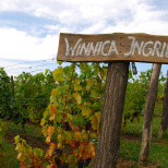 Winnica Ingrid